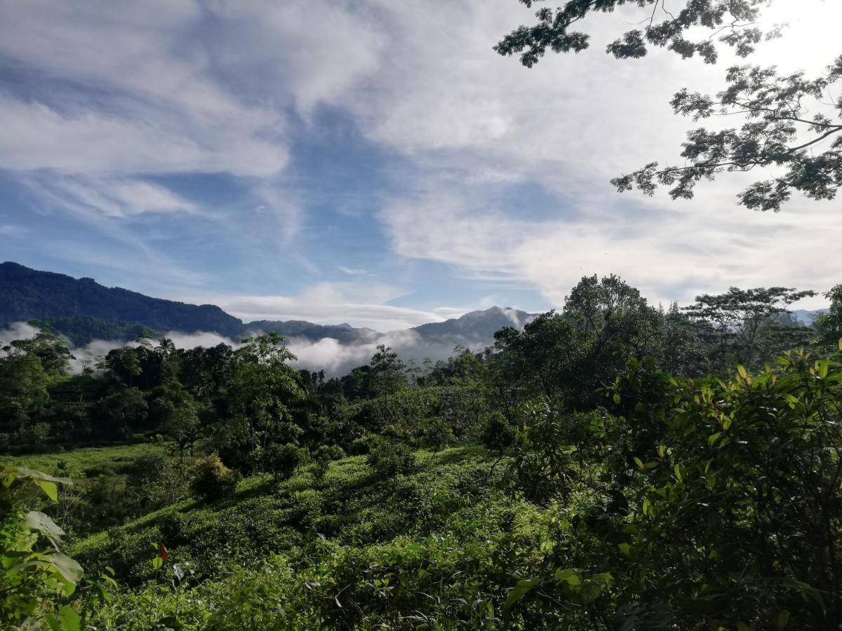 Sunil'S Homestay Sinharaja Kalawana Экстерьер фото
